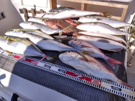 遊漁船SOUTH　8/15釣果