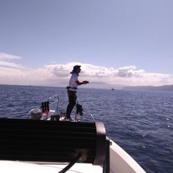 遊漁船SOUTH 8/28釣果