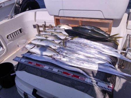 遊漁船SOUTH　8/30釣果