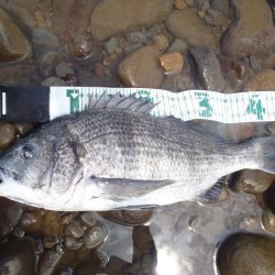 夏定番ポイントでRIDE　ON！