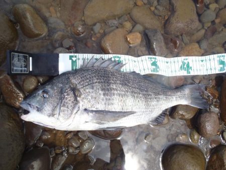 夏定番ポイントでRIDE　ON！