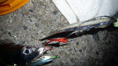 やっとタチシーズン