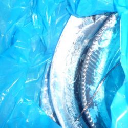 やっぱりちびタチ