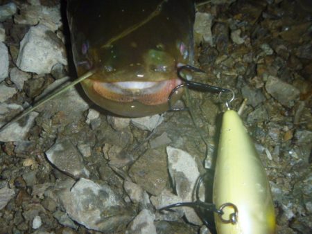 クランクベイトで