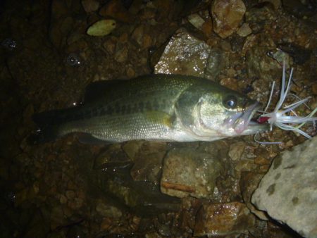 夕立スピナーベイト