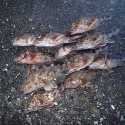 最後の30分で連発！