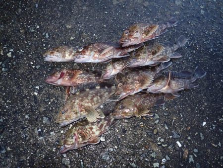 最後の30分で連発！