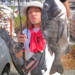 美しい年なしチヌ