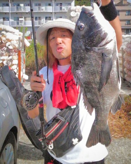 美しい年なしチヌ