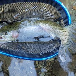 禁漁前に良型求めて