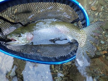 禁漁前に良型求めて