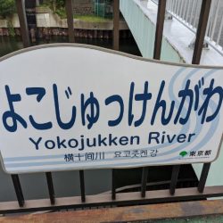 横十間川でハゼ釣り