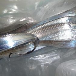 人が多い人工島