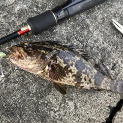 岸和田あたりで