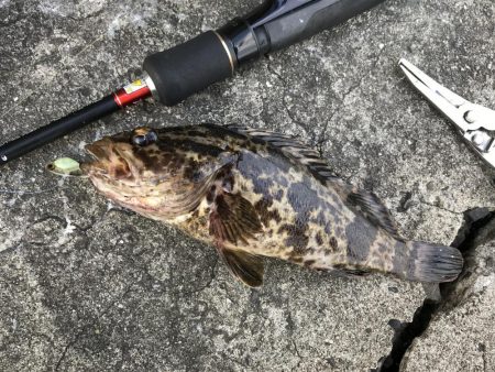 岸和田あたりで