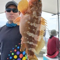 遊漁船 ニライカナイ 釣果