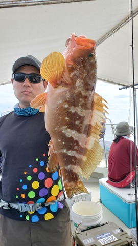 遊漁船 ニライカナイ 釣果