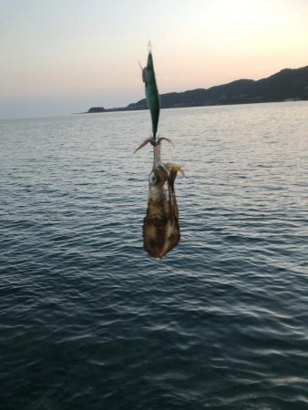 夏イカ狙いとカンパチ狙いで地磯釣行