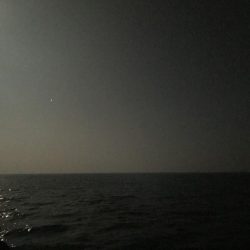 また食べたくなりました