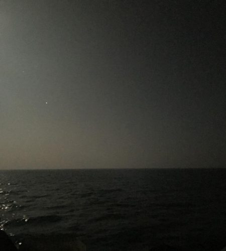 また食べたくなりました