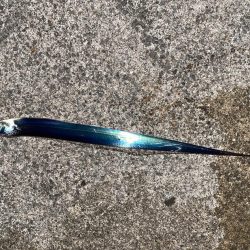 やっと釣れたけど、、