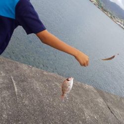 暑さも釣果も厳し目