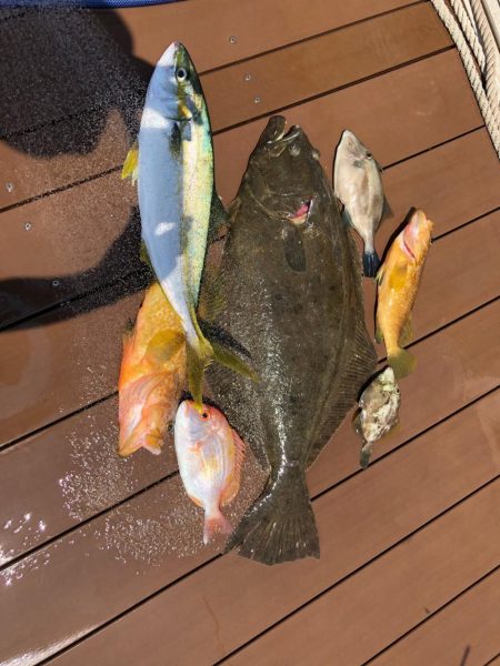 出た！！大ヒラメ！！