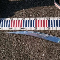 ショアジギ&飲ませ