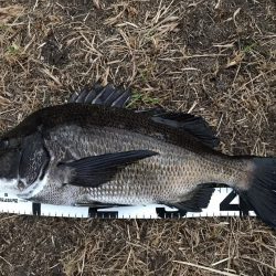 イチノ兄弟、釣果!