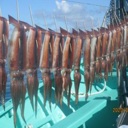 アジ、サバ、スルメイカ　クーラー満タン(^_-)-☆