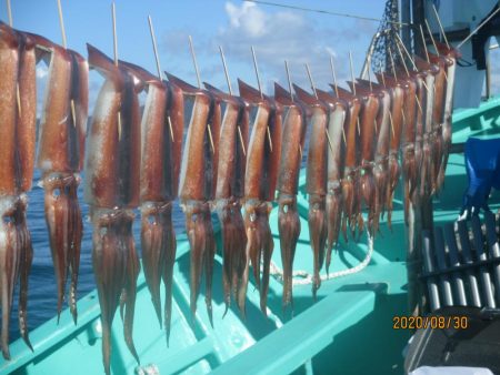 アジ、サバ、スルメイカ　クーラー満タン(^_-)-☆