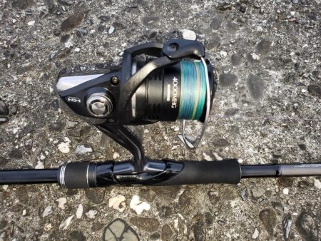 夕マズメで2ヶ月振りのヒラメ