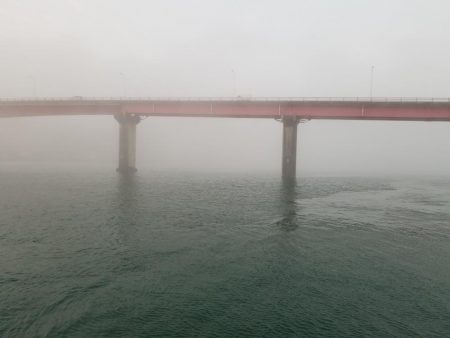 エギング 高知 福島港え