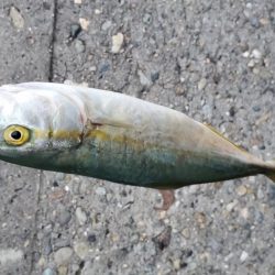 小物がぼちぼち