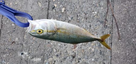 小物がぼちぼち