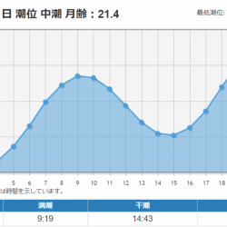 地磯釣行（富戸周辺地磯）
