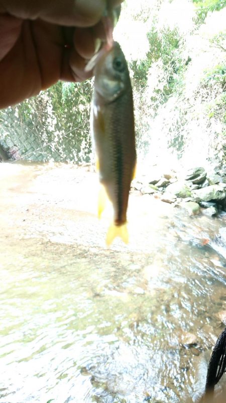 おじさん二人で