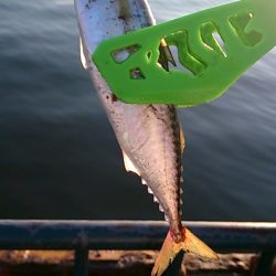 夏休みファミリーフィッシング