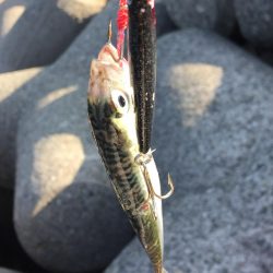 まだまだ修行。