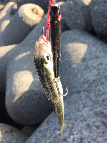 まだまだ修行。