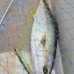 ジギング楽しい～