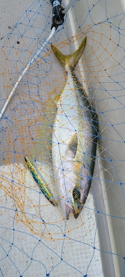 ジギング楽しい～