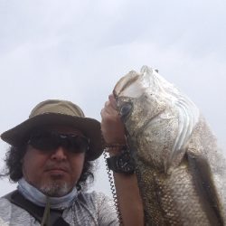 シーバスもいたよ