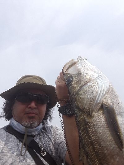 シーバスもいたよ