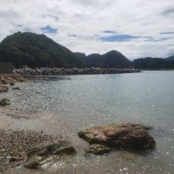 水遊びついでに