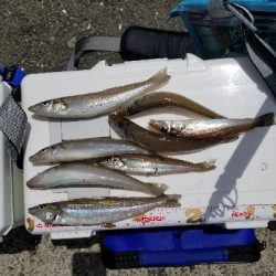 今日は娘と、でも釣果は残念