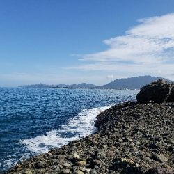 ベラとエソばっかり。。