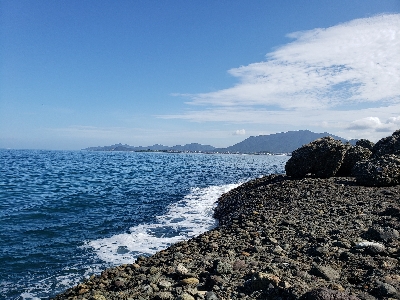 ベラとエソばっかり。。