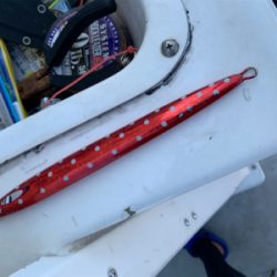 日本海中深海ジギング