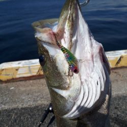 ルアーチェンジしたら、ばくっと